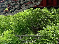 -张学良旧居陈列馆