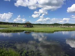 -塞罕坝国家级自然保护区