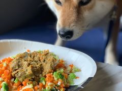 -the rug 飞毯 (朝阳公园店)