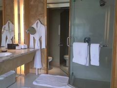 -新加坡丽思卡尔顿美年酒店
