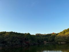 -广州莲花山旅游区
