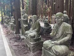 -武陵山森林公园