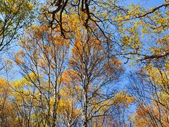 -白草畔自然风景区