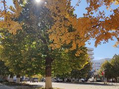 -辽东学院(南校区)