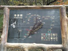 导览图-王顺山国家森林公园