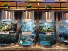 -老船舫·现做活鲜鱼馆(东郊记忆店)