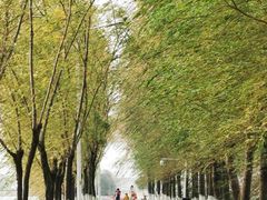 -艾溪湖湿地公园