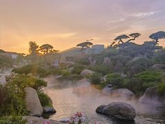 -罗红摄影艺术馆