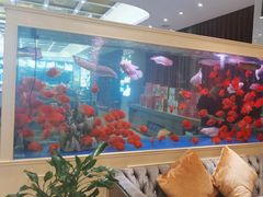 -骏莱海鲜鱼港(五角场店)