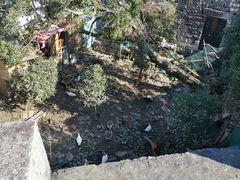 -大罗山风景区