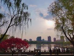 -莲花池公园
