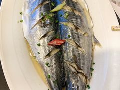 刨盐马鲛鱼-海中洲渔社