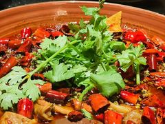 -华豫川酒家(大卫城店)