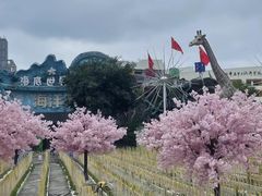 -观澜山水田园