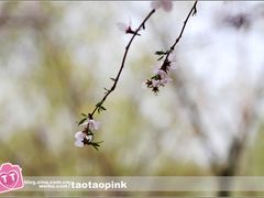 -哈尔滨师范大学(江南校区)