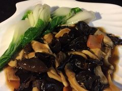 -云中小雅