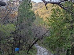 -阳台山自然风景区