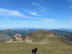 -灵山