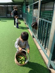 点击看大图 -小蜜蜂农场(凯德七宝购物广场店)