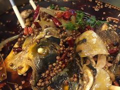 -麻辣巅峰美蛙鱼头火锅(犀浦店)