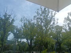 -金鸡湖景区