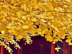 -承恩寺