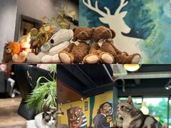 -咖法森林·咖啡  酒吧(天河店)