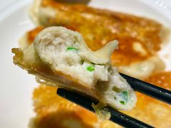 鲅鱼水饺-东莱馋房(陆家嘴店)