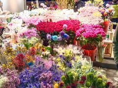 -越秀西湖花市(广州城市广场花卉店)