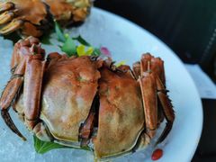 -蟹榭·本帮江浙菜·蟹宴(五角场合生汇商场店)