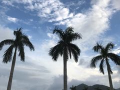 -亚龙湾国际玫瑰谷