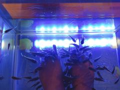 -丽池宫韩式汗蒸会馆(华灯坊店)