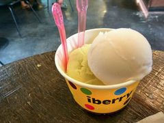 双球冰淇淋-莓园冰淇淋店