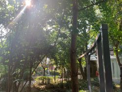 -莲生母婴月子中心(清水河公园店)