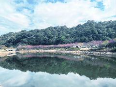 -广州市流溪河国家森林公园