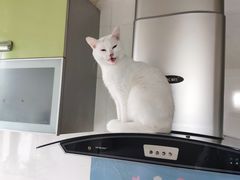 -鸿兴楼酒家嘉山路店