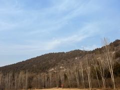 -唐指山风景区