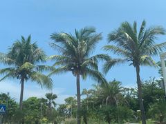 -三亚蜈支洲岛旅游区