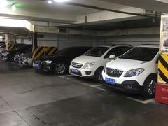 -吴山花鸟城-停车场