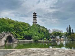 -江心屿景区