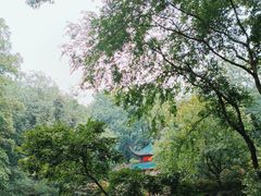 -岳麓山风景名胜区