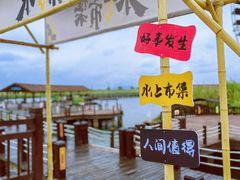 -苏州太湖湖滨国家湿地公园
