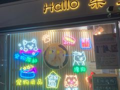 -南京Hallo宠物乐园·哈罗犬舍·柴犬繁育基地
