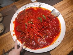 金毛狮子鱼-丹江渔村(首都机场店)