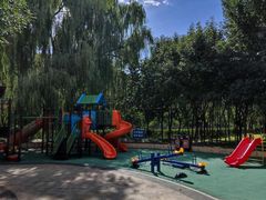 -永定河休闲森林公园