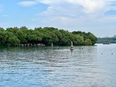 -西湖外事游船(花港观鱼码头)