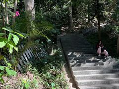 -火炉山森林公园