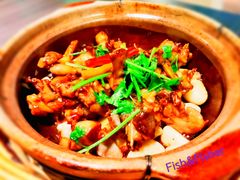 啫啫牛蛙煲-鹊玥·粤菜小馆(汇智国际商业中心店)