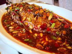 红烧鲤鱼-迎宾楼(解放西街店)