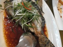 -华兴大酒楼(亿宝大厦店)